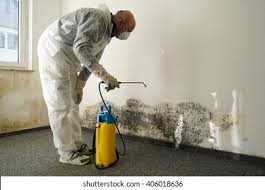 Why You Should Choose Our Mold Remediation Services in Ponderosa Pine, NM